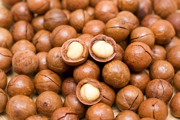 Huile de macadamia